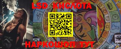 крисы Кулебаки