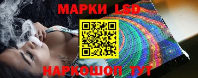крисы Кулебаки