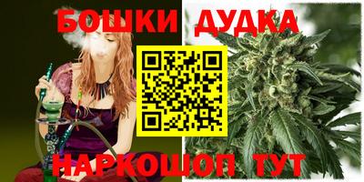 крисы Кулебаки