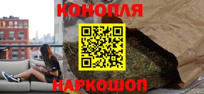 крисы Кулебаки