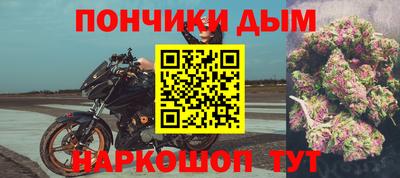 крисы Кулебаки