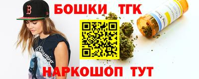 крисы Кулебаки