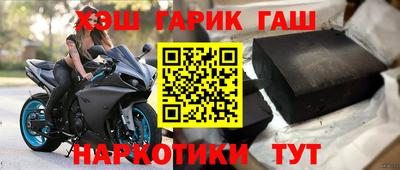 крисы Кулебаки