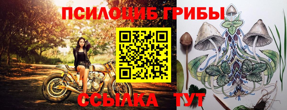 Чусовой  Псилоцибиновые грибы MAGIC MUSHROOMS  Вход с VPN  Галлюциногенные грибы Psilocybine cubensis 